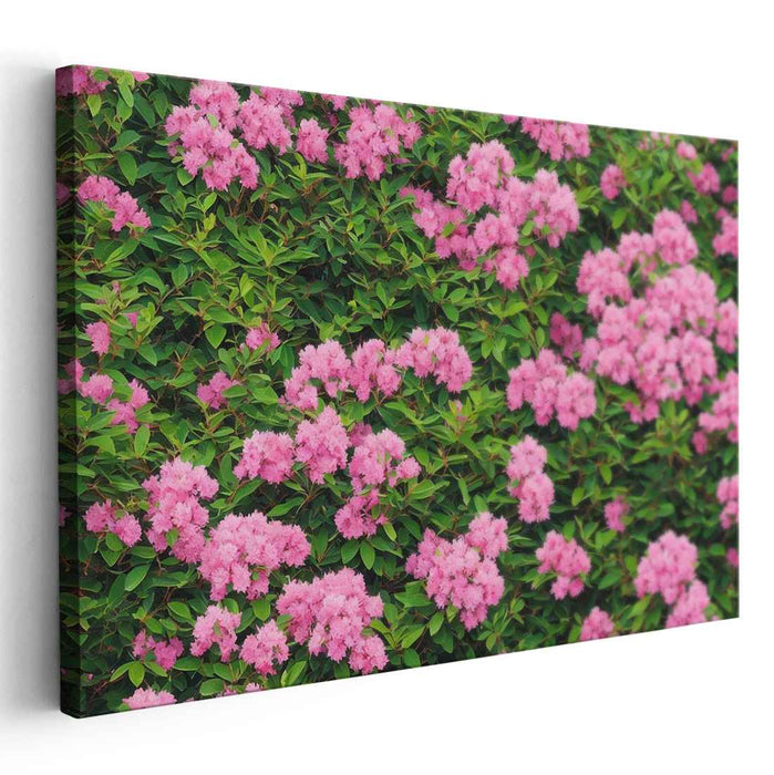 Blossoming Rhododendron Melody: Vibrant Pink Rhododendron Blossoms Canvas Art Print