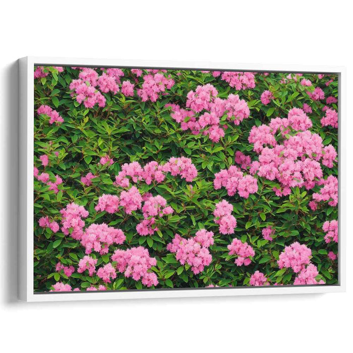 Blossoming Rhododendron Melody: Vibrant Pink Rhododendron Blossoms Canvas Art Print