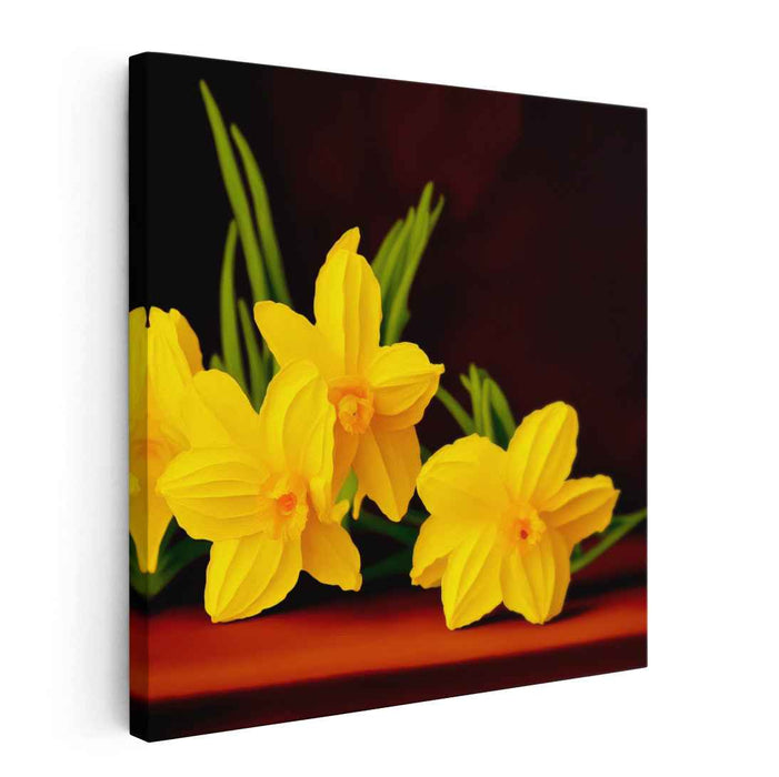 Renaissance Oil Daffodils #002