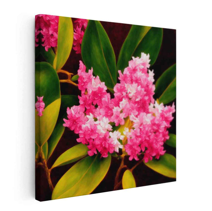 Renaissance Oil Rhododendron #005