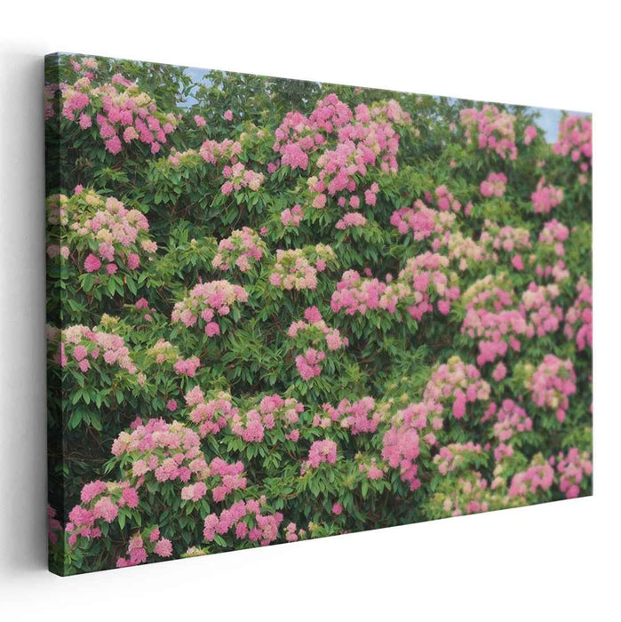 Enchanted Floral Alchemy: Vibrant Pink Hydrangeas in Full Bloom Canvas Art Print