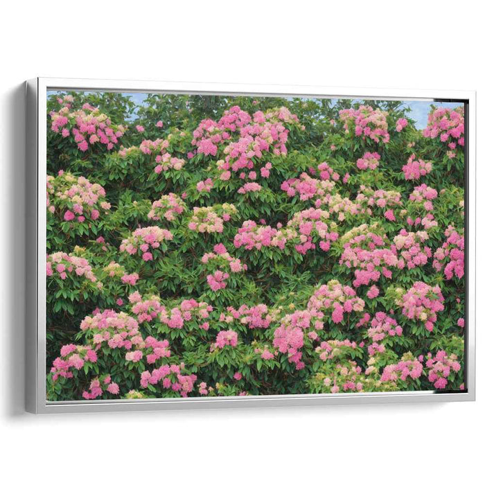 Enchanted Floral Alchemy: Vibrant Pink Hydrangeas in Full Bloom Canvas Art Print