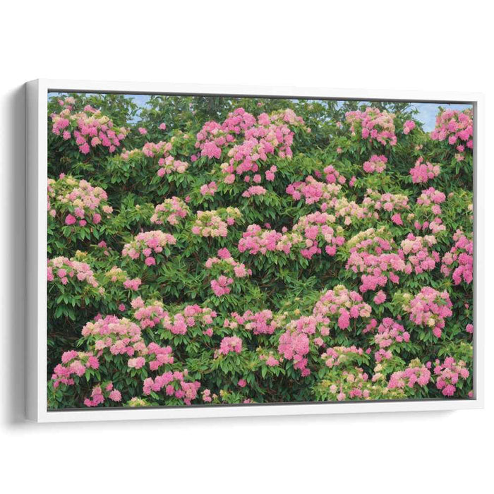 Enchanted Floral Alchemy: Vibrant Pink Hydrangeas in Full Bloom Canvas Art Print