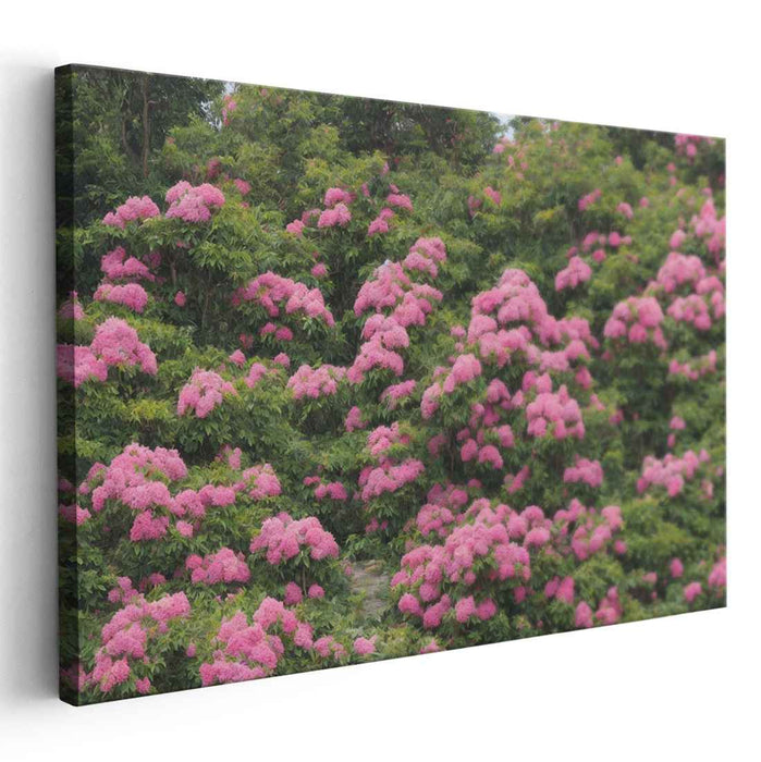 Renaissance Oil Rhododendron #114