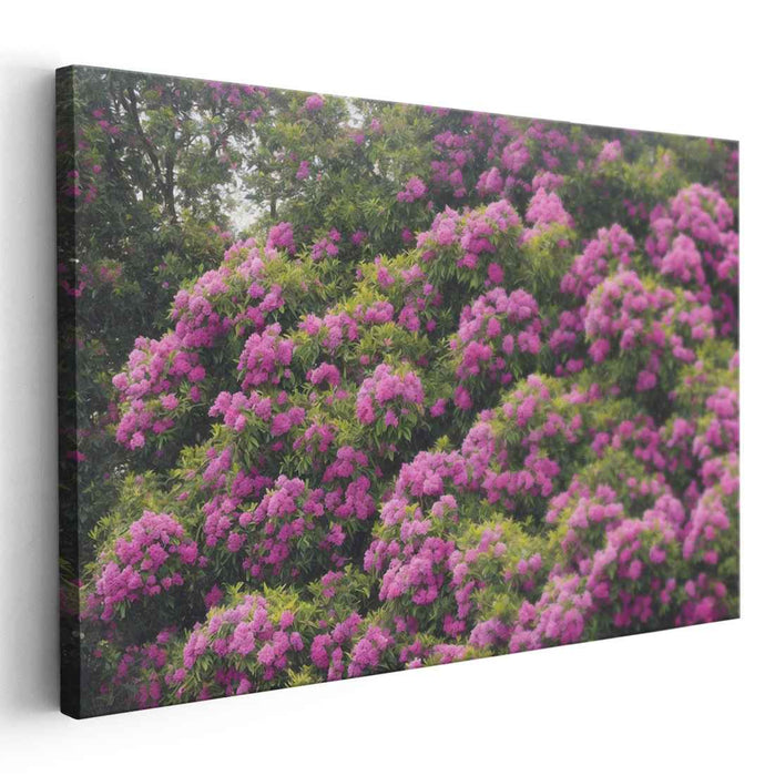 Melodic Petals Dance in Sunlight: A Symphony of Pink and Green