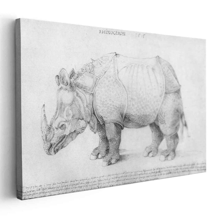 Rhinoceros (1515) by Albrecht Durer