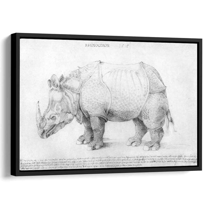 Rhinoceros (1515) by Albrecht Durer