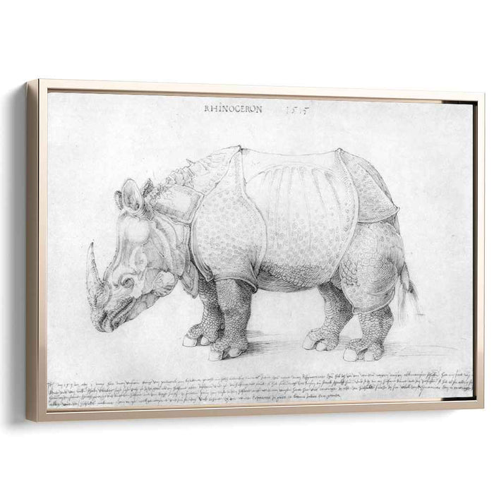 Rhinoceros (1515) by Albrecht Durer