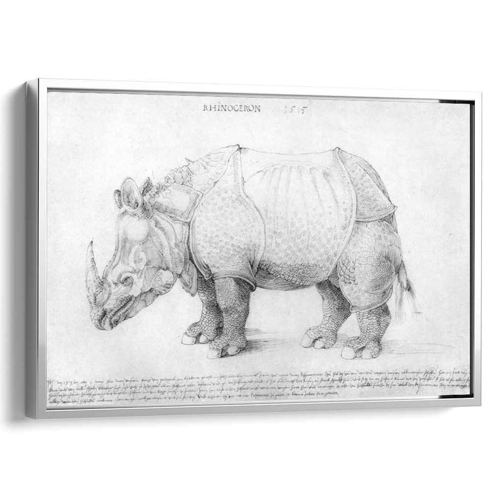 Rhinoceros (1515) by Albrecht Durer