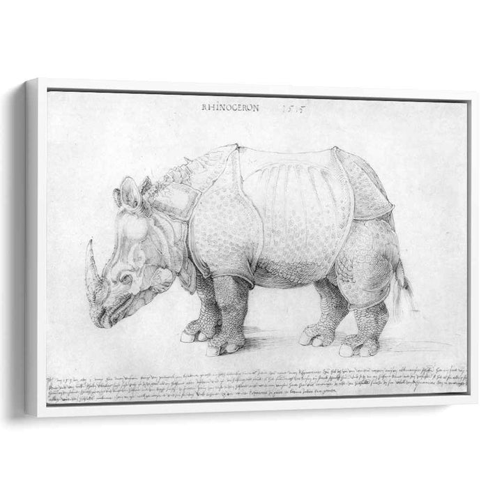 Rhinoceros (1515) by Albrecht Durer