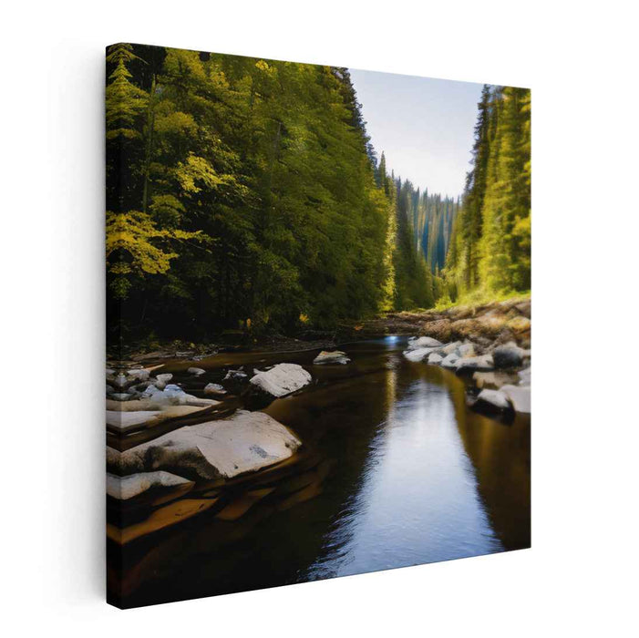 River Photography #001