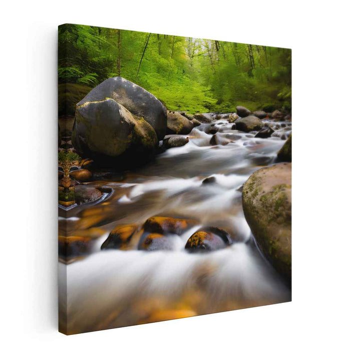 River Photography #011