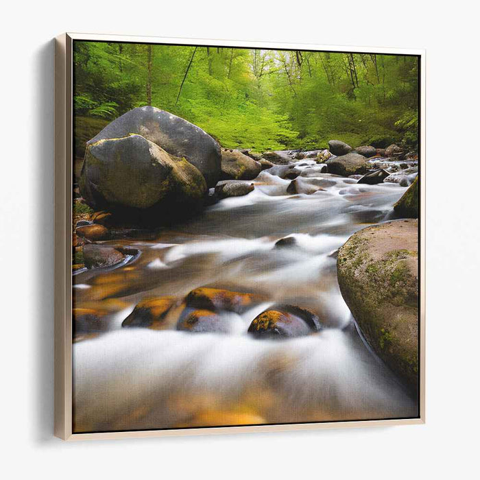 River Photography #011