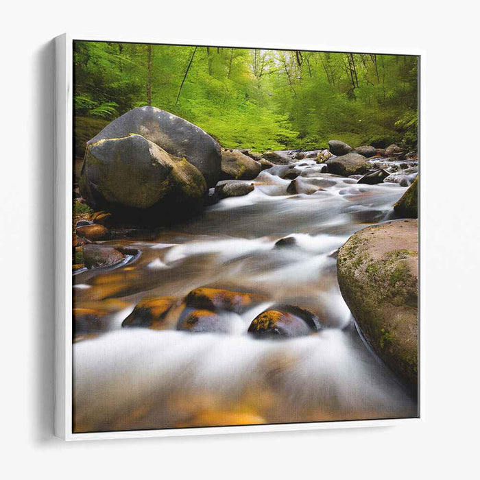 River Photography #011