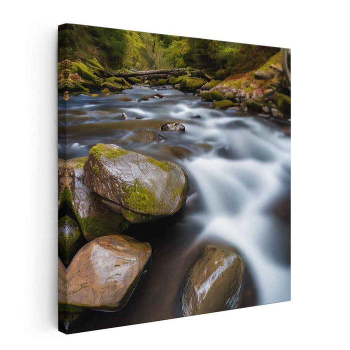 River Photography #018