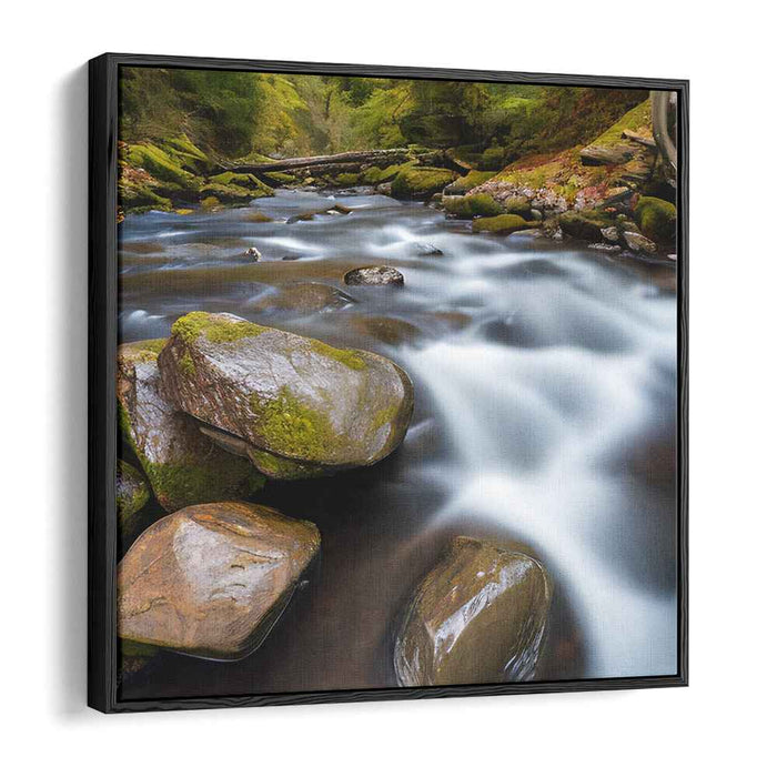 River Photography #018