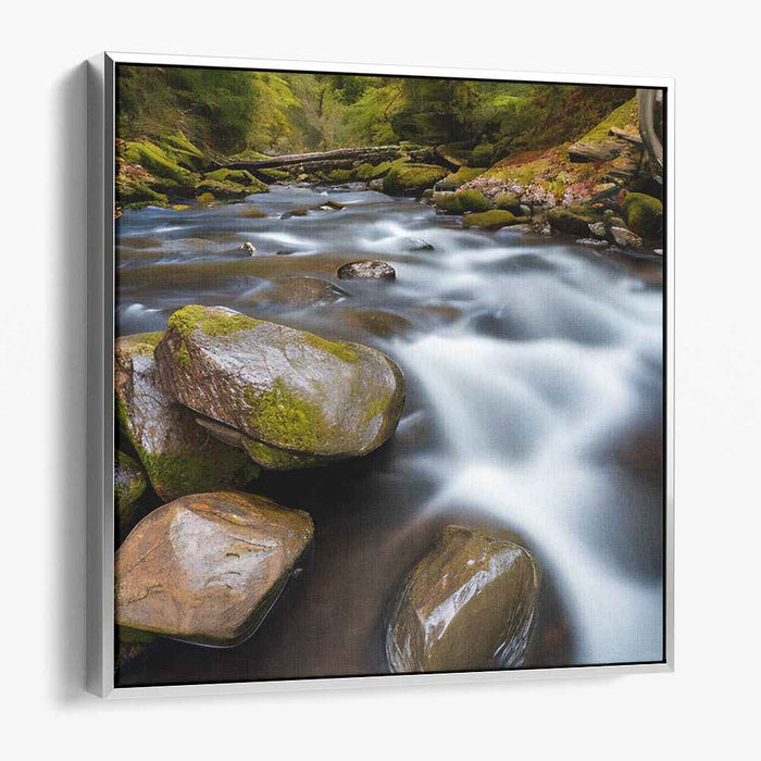 River Photography #018