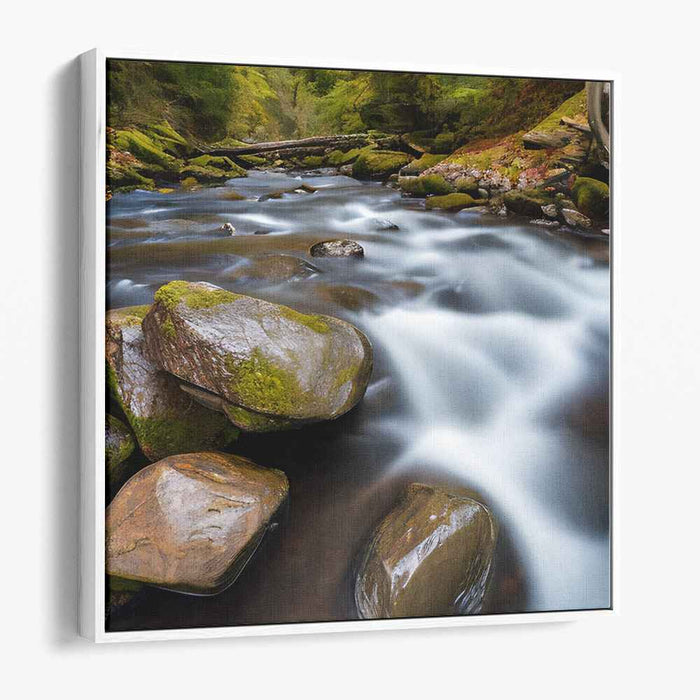 River Photography #018