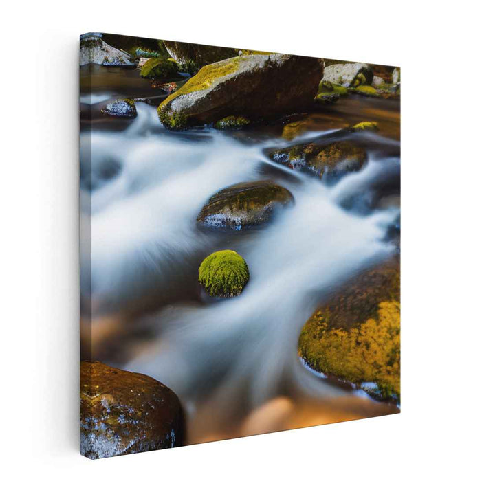 Mossy Serenity Serenade: Tranquil River and Moss-Covered Stones Landscape Photo