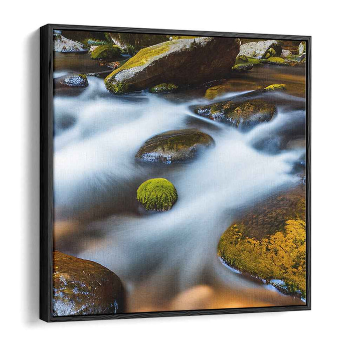 Mossy Serenity Serenade: Tranquil River and Moss-Covered Stones Landscape Photo