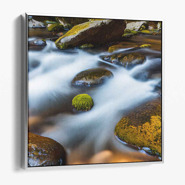 Mossy Serenity Serenade: Tranquil River and Moss-Covered Stones Landscape Photo