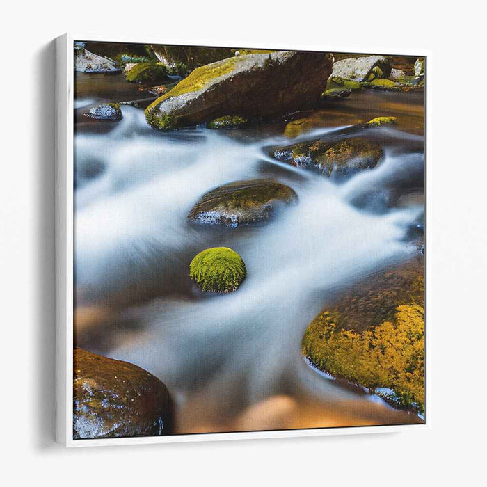 Mossy Serenity Serenade: Tranquil River and Moss-Covered Stones Landscape Photo