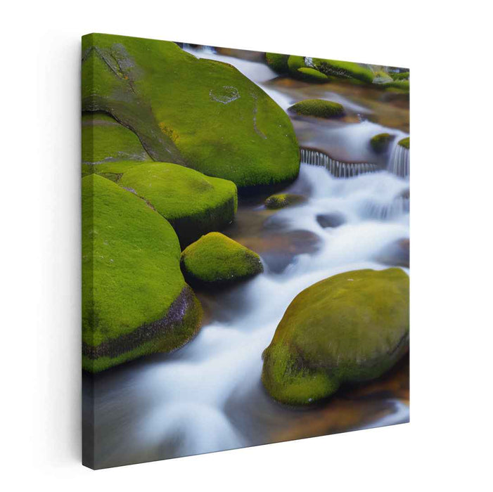 Mossy Whispering Waters: Moss-Covered Stream in Tranquil Harmony