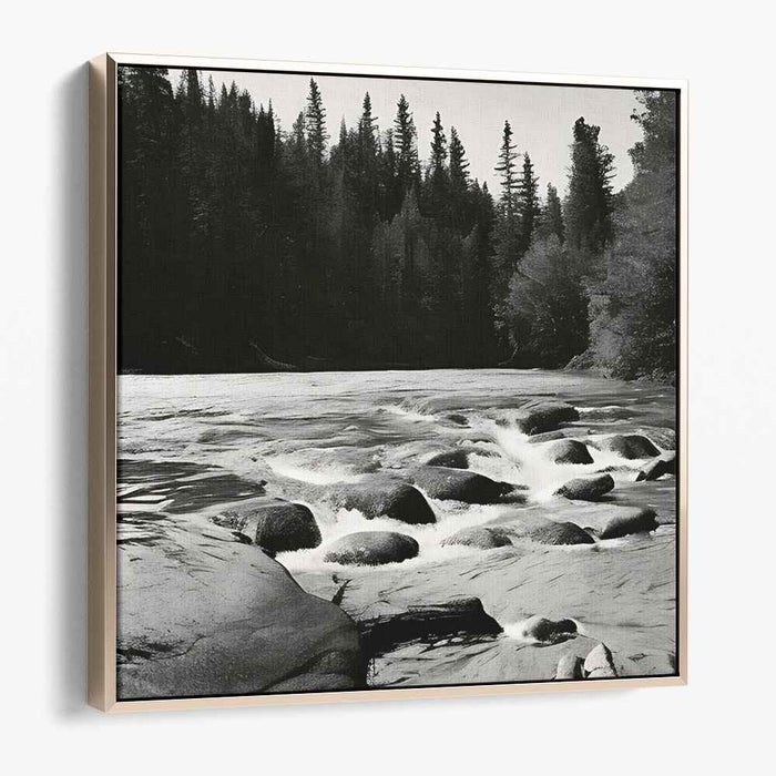 Timeless Flow: Black and White Forest River Photography