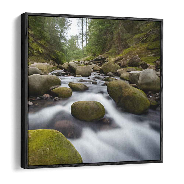 River Photography #039