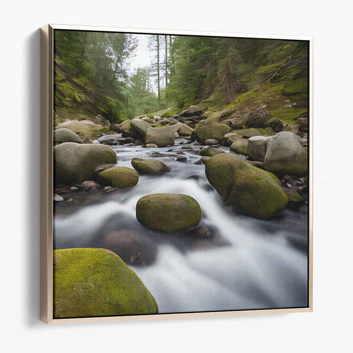 River Photography #039