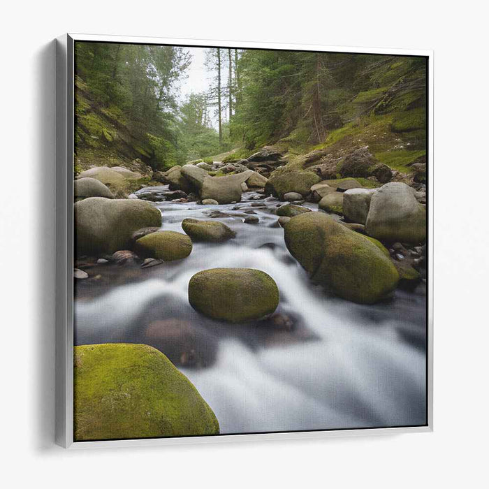 River Photography #039