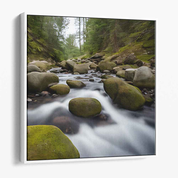 River Photography #039