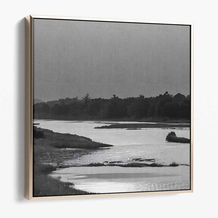 Gray Serenity Flow: Monochrome Landscape of a Calm River