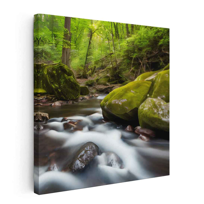 River Photography #055