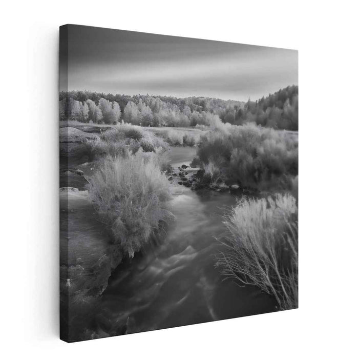 River Photography #062