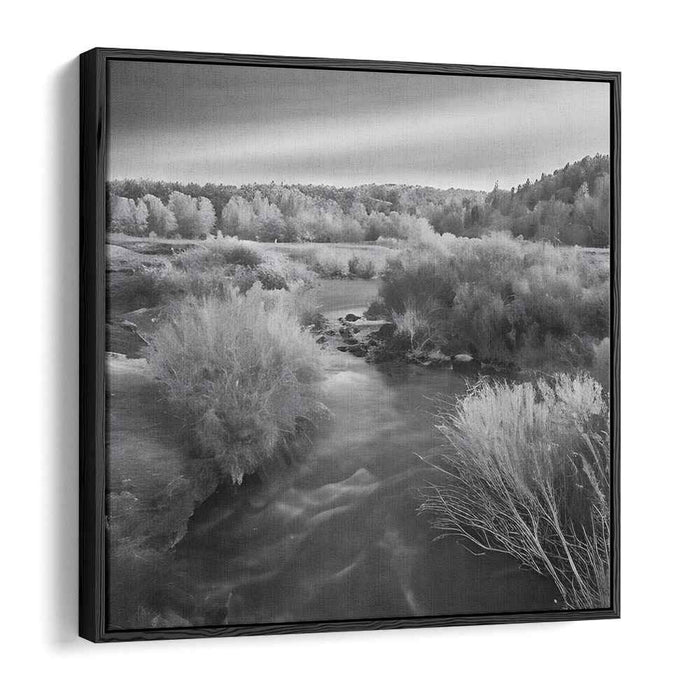 River Photography #062