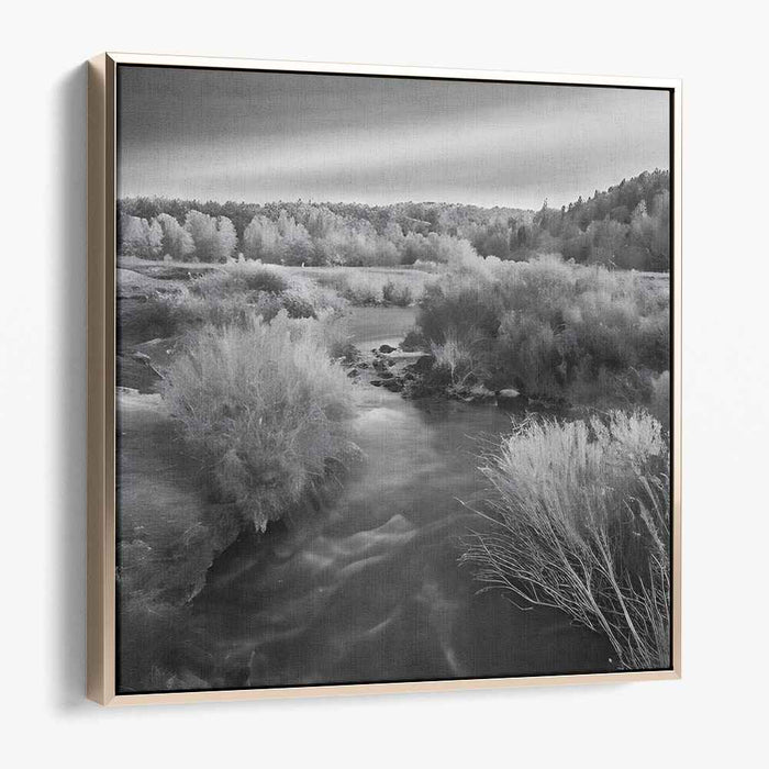 River Photography #062