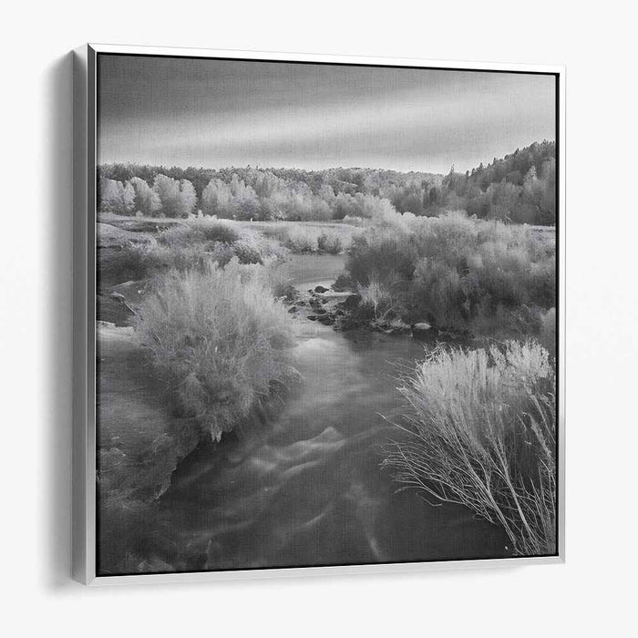 River Photography #062