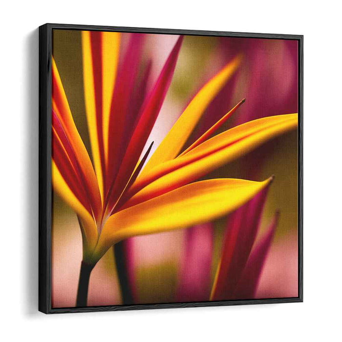 Sepia Birds of Paradise #003