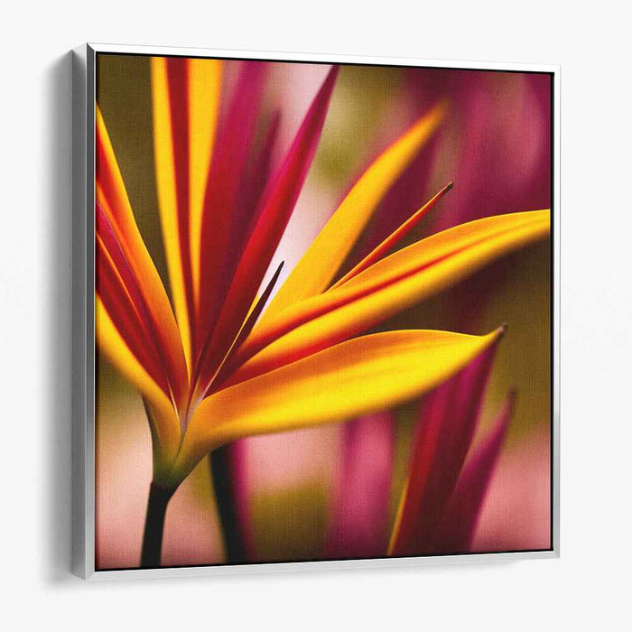 Sepia Birds of Paradise #003