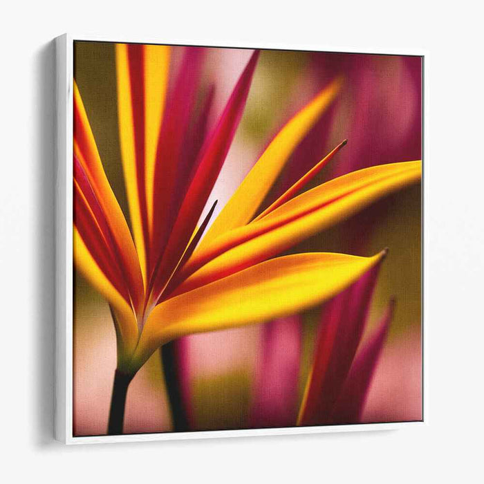 Sepia Birds of Paradise #003