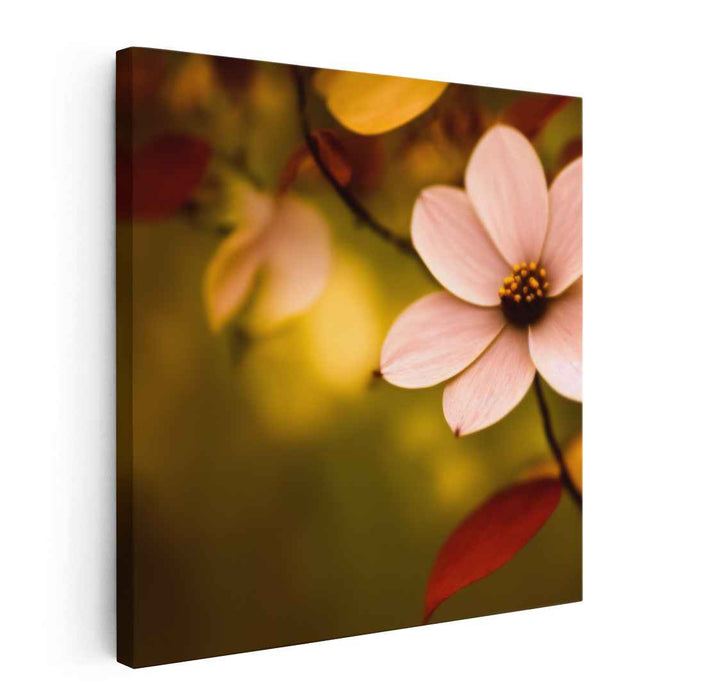 Amber Blossom Dream Dance: Serene Pink Flower on Warm Amber Canvas Art Print