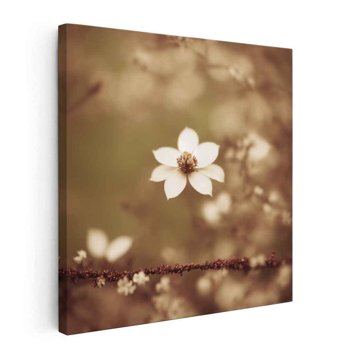 Vintage Blossom Whispers: Sepia-Toned Floral Elegance Canvas Art