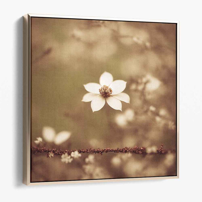 Vintage Blossom Whispers: Sepia-Toned Floral Elegance Canvas Art