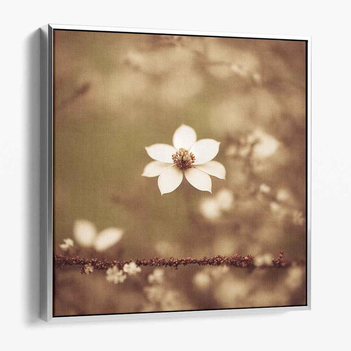 Vintage Blossom Whispers: Sepia-Toned Floral Elegance Canvas Art