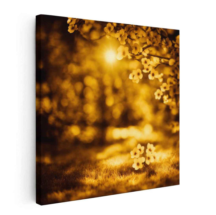 Dreamy Grove Sunlight: Sunlit Blossoms in a Dreamlike Grove Canvas Art Print