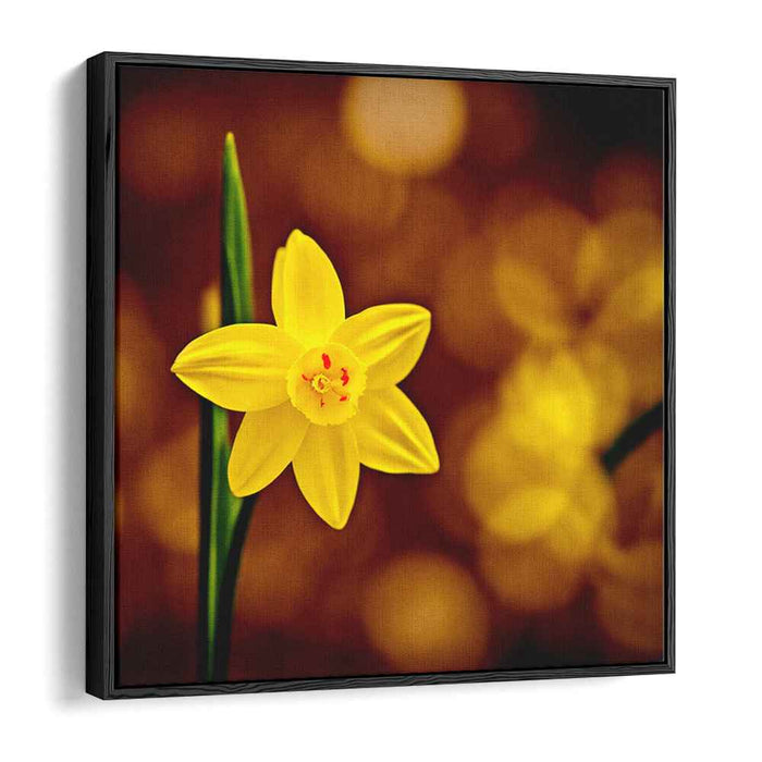 Gilded Petals Dance: Yellow Daffodil Against Golden Bokeh Canvas Art Print