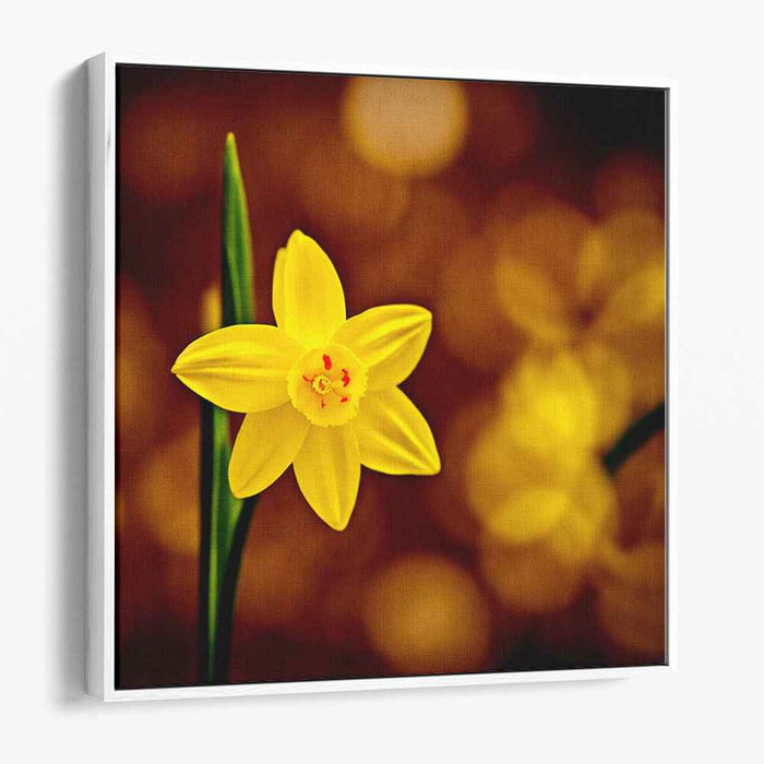 Gilded Petals Dance: Yellow Daffodil Against Golden Bokeh Canvas Art Print