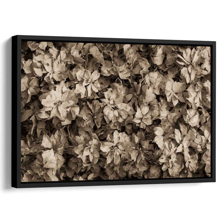 Sepia Daffodils #113