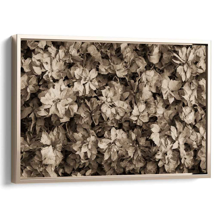 Sepia Daffodils #113